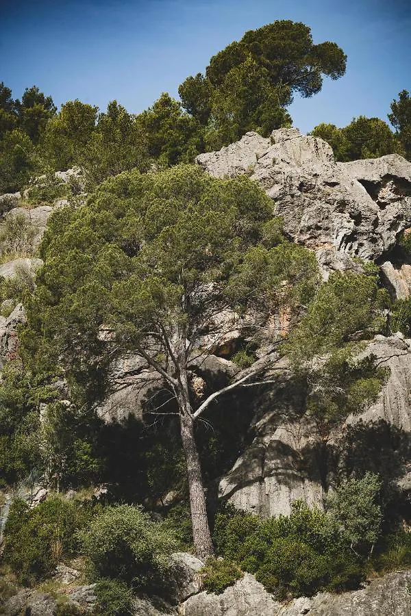 Hotel Pure Salt Port De Soller (Adults Only)