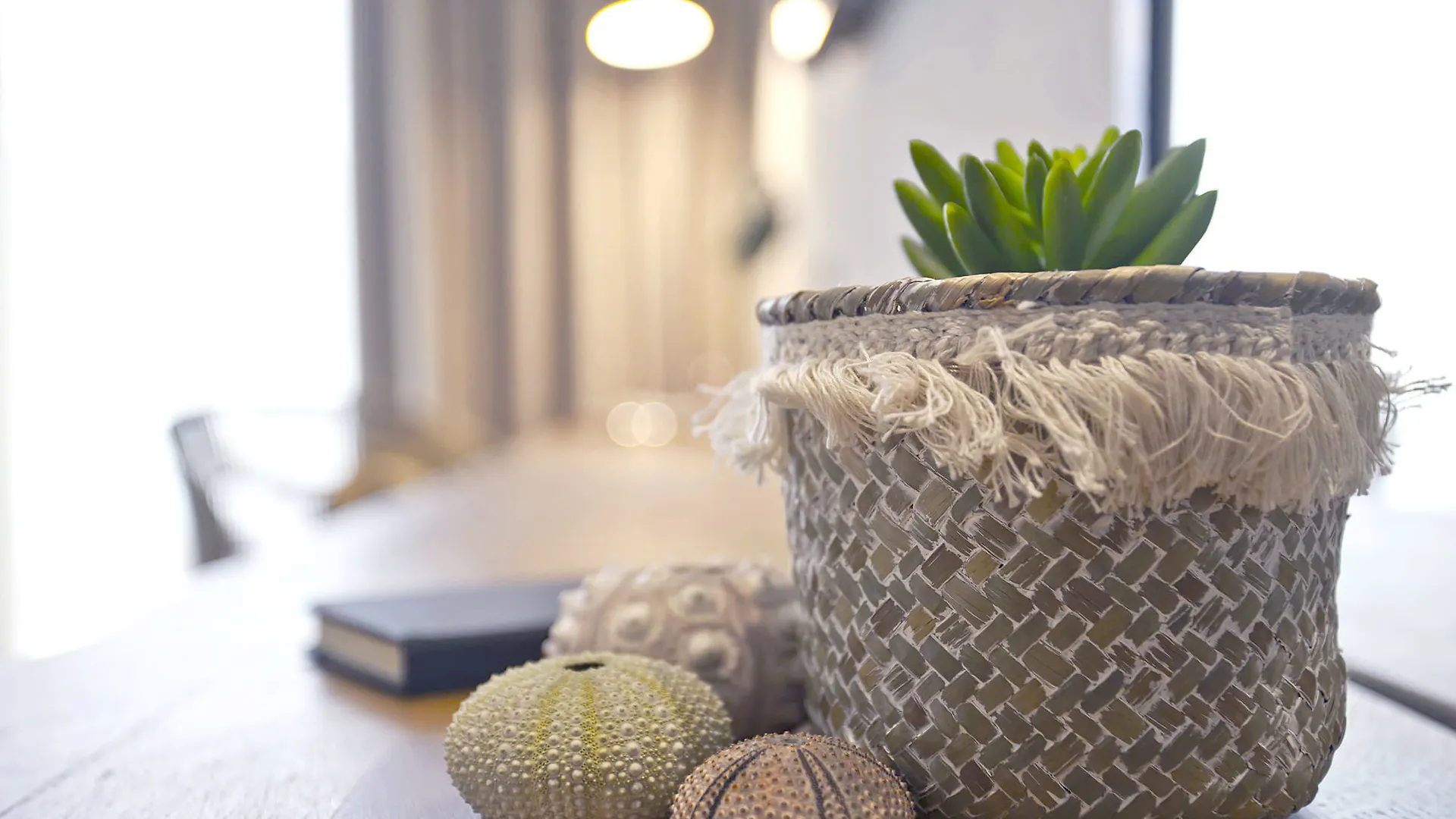 Hotel Pure Salt Port De Soller (Adults Only)